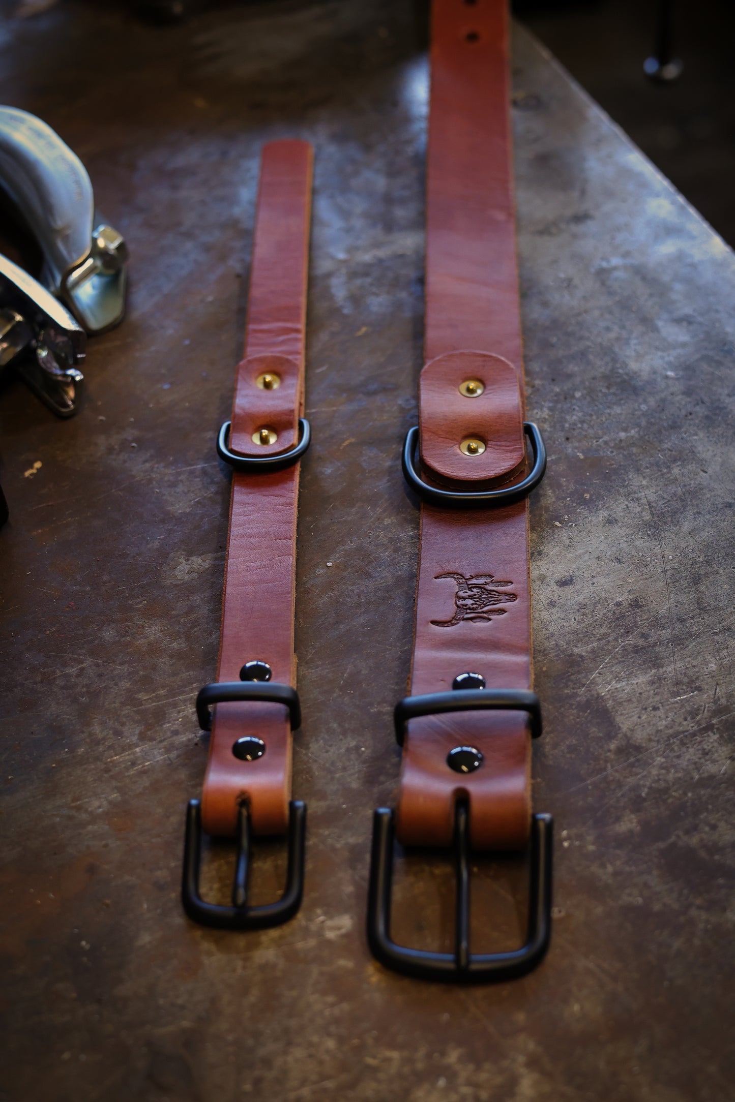 bison dog collar